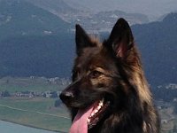 Ki-Shani